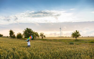 Nach peinlichem Fernbleiben bei Klimaschutzkonferenz – Bündnisgrüne fordern Ende des Hickhacks um Brandenburgs Klimaschutz